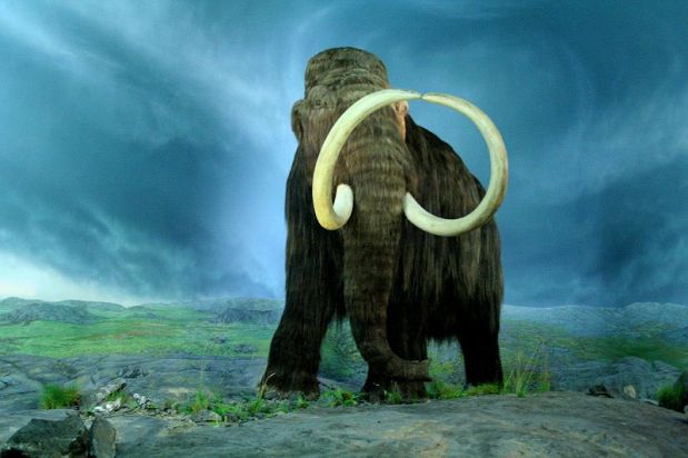 La desextinción del mamut, ¿realidad o ficción?